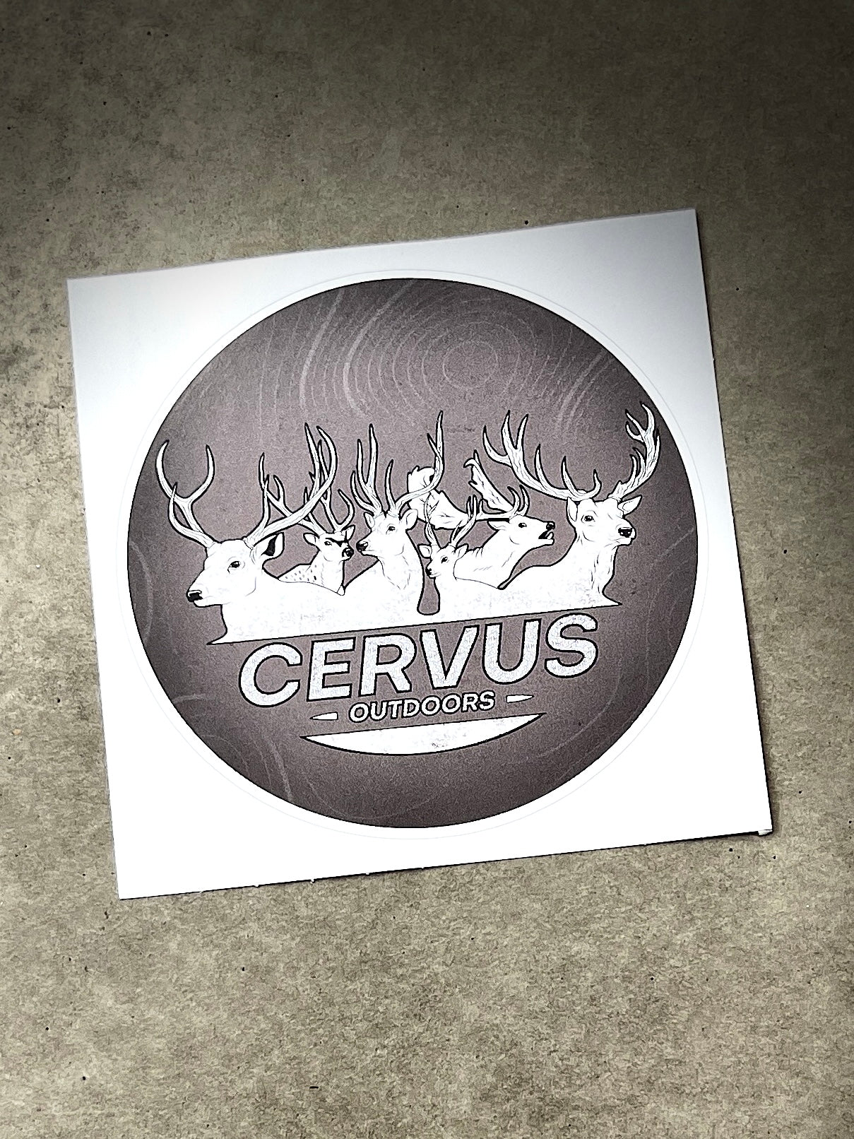 Aussie 6 Cervus Sticker